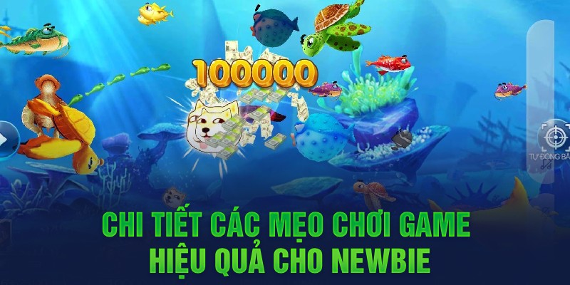 Chi tiết các mẹo chơi game hiệu quả cho Newbie