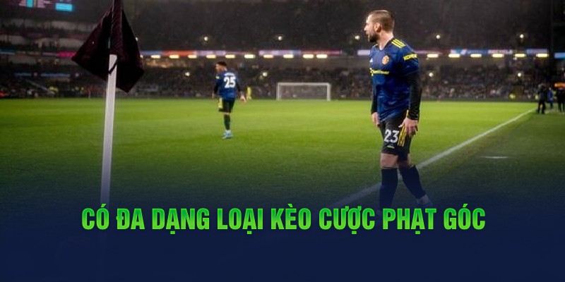 Có đa dạng loại kèo cược phạt góc