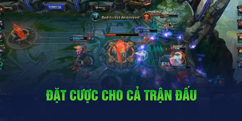 Đặt cược cho cả trận đấu