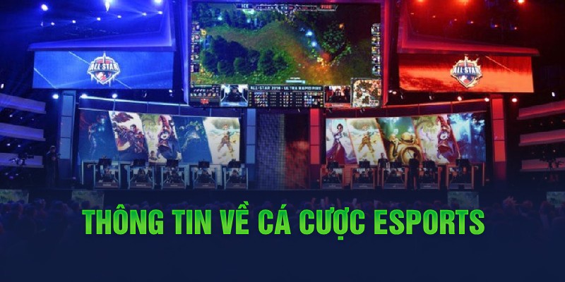 Thông tin về cá cược Esports