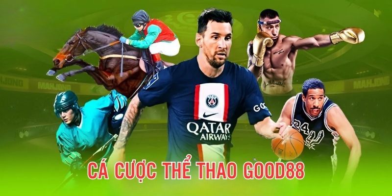 Chơi thể thao cá cược thoả thích